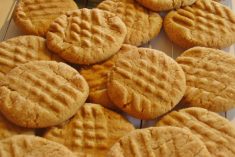 Biscoitos de maizena