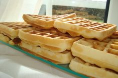 Os famosos waffles da Savya