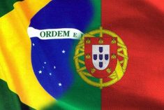 Termos Culinários Portugal-Brasil