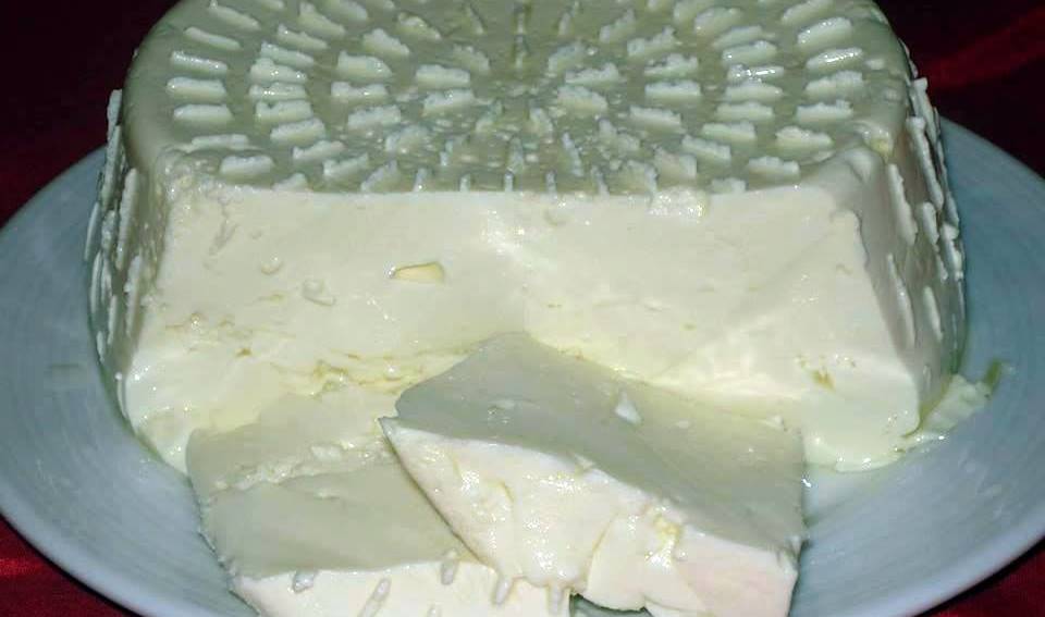 Receita para fazer queijo fresco em casa